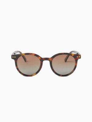 Polarised Sunglasses